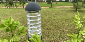 Best Practices for Positioning Landscape Lighting in Your Yard